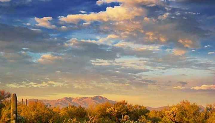 Inilah Ayat Yang Sebabkan Umar Bin Khattab Masuk Islam Inilah Ayat Yang Sebabkan Umar Bin Khattab Masuk Islam